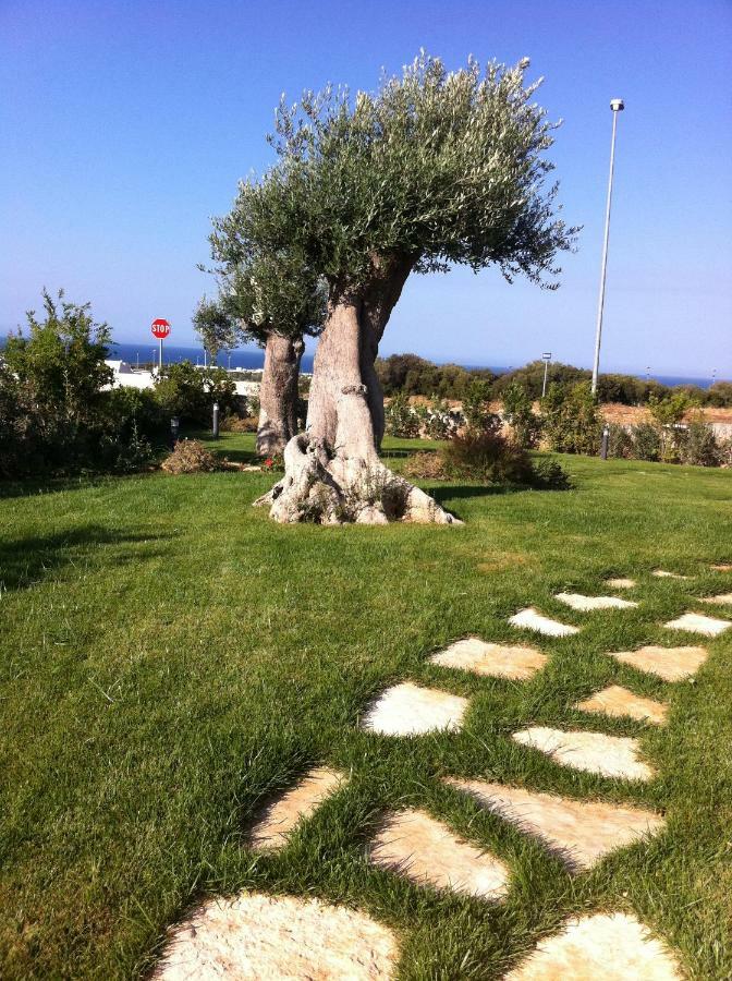 Willa Nel Blu Dipinto Di Blu Polignano a Mare Zewnętrze zdjęcie