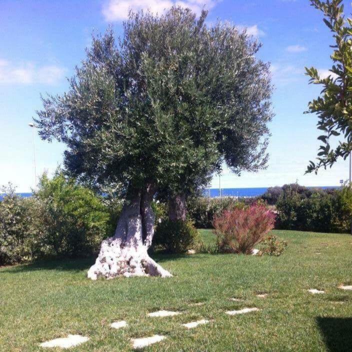Willa Nel Blu Dipinto Di Blu Polignano a Mare Zewnętrze zdjęcie